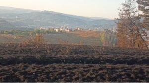Incendiul din Câlnic a fost lichidat