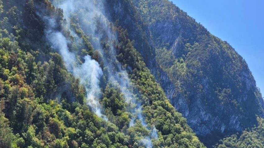Cod Roșu de incendii în Caraș-Severin: Sute de hectare s-au făcut scrum