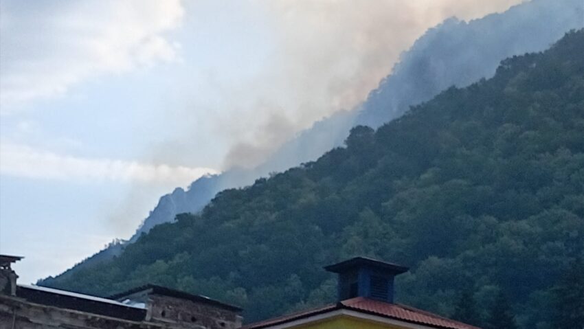 Incendii pe sute de hectare în Caraș-Severin: flăcările au cuprins și Parcul Național Domogled-Valea Cernei