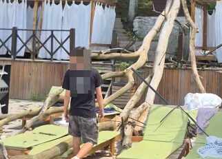 IPJ Caraş-Severin după ce un copac s-a prăbușit peste șezlongurile unui local din Văliug: nu au existat victime și nu sunt indicii privind o faptă penală