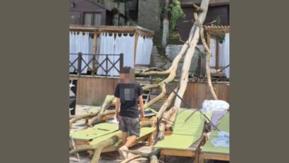 IPJ Caraş-Severin după ce un copac s-a prăbușit peste șezlongurile unui local din Văliug: nu au existat victime și nu sunt indicii privind o faptă penală
