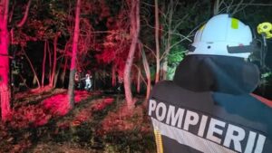 Pompierii români continuă lupta cu incendiile de vegetație din Serbia. Intervențiile au continuat pe timpul nopții