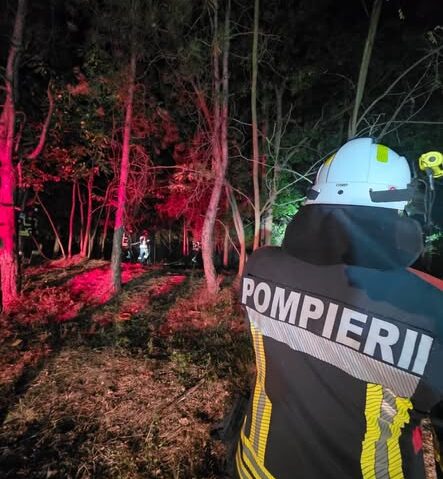 Pompierii români continuă lupta cu incendiile de vegetație din Serbia. Intervențiile au continuat pe timpul nopții