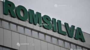 Ministra Mediului convoacă de urgenţă conducerea Romsilva