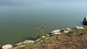 Exploatare ilegală a apei în plină secetă, descoperită în Arad. Amenzi și interdicții după un control al Gărzii de Mediu
