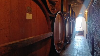 Podgoriile și cramele din Toscana – o incursiune în una dintre cele mai renumite regiuni viticole ale lumii