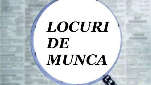 Peste 100 de locuri de muncă disponibile în Caraș-Severin. Ce meserii caută angajatorii