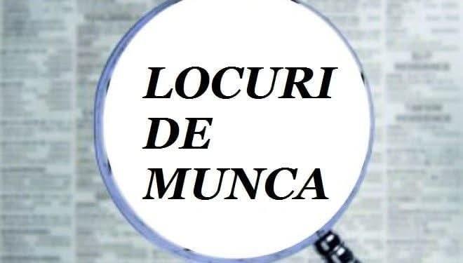 Peste 100 de locuri de muncă disponibile în Caraș-Severin. Ce meserii caută angajatorii