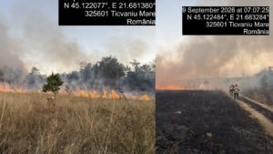 Incendii de vegetație în Caraș-Severin. Peste 300 de hectare afectate, intervenții în mai multe zone ale județului