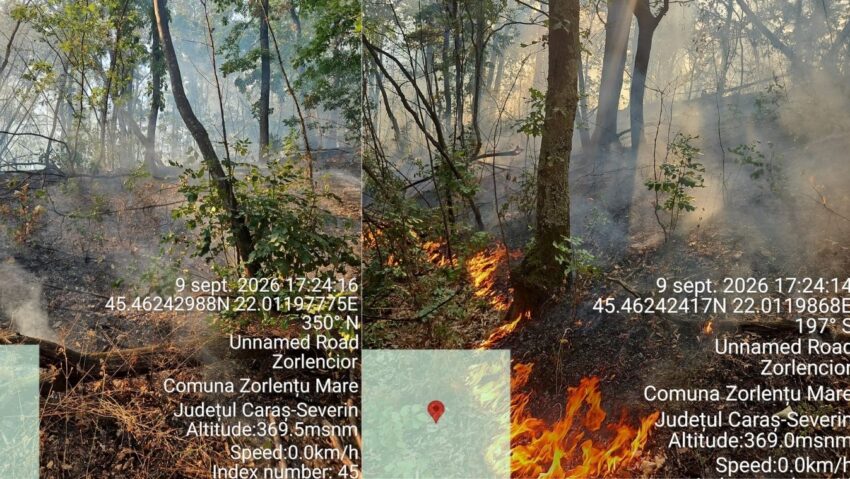 Incendii de vegetație în Caraș-Severin: peste 400 de hectare afectate, mai multe focare sunt încă active