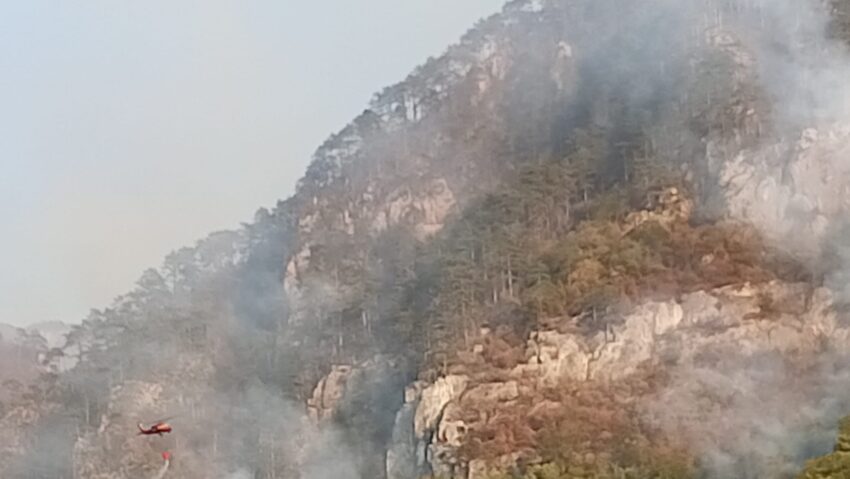 IGSU: intervenție complexă pentru stingerea incendiului din Parcul Național Domogled – Valea Cernei