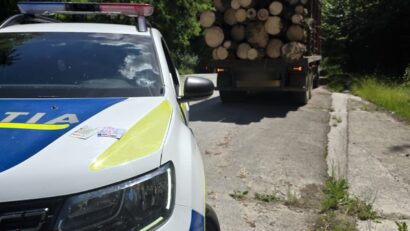 Captură impresionantă în Caraș-Severin: Aproape 400 de metri cubi de material lemnos, confiscați de polițiști în doar o săptămână