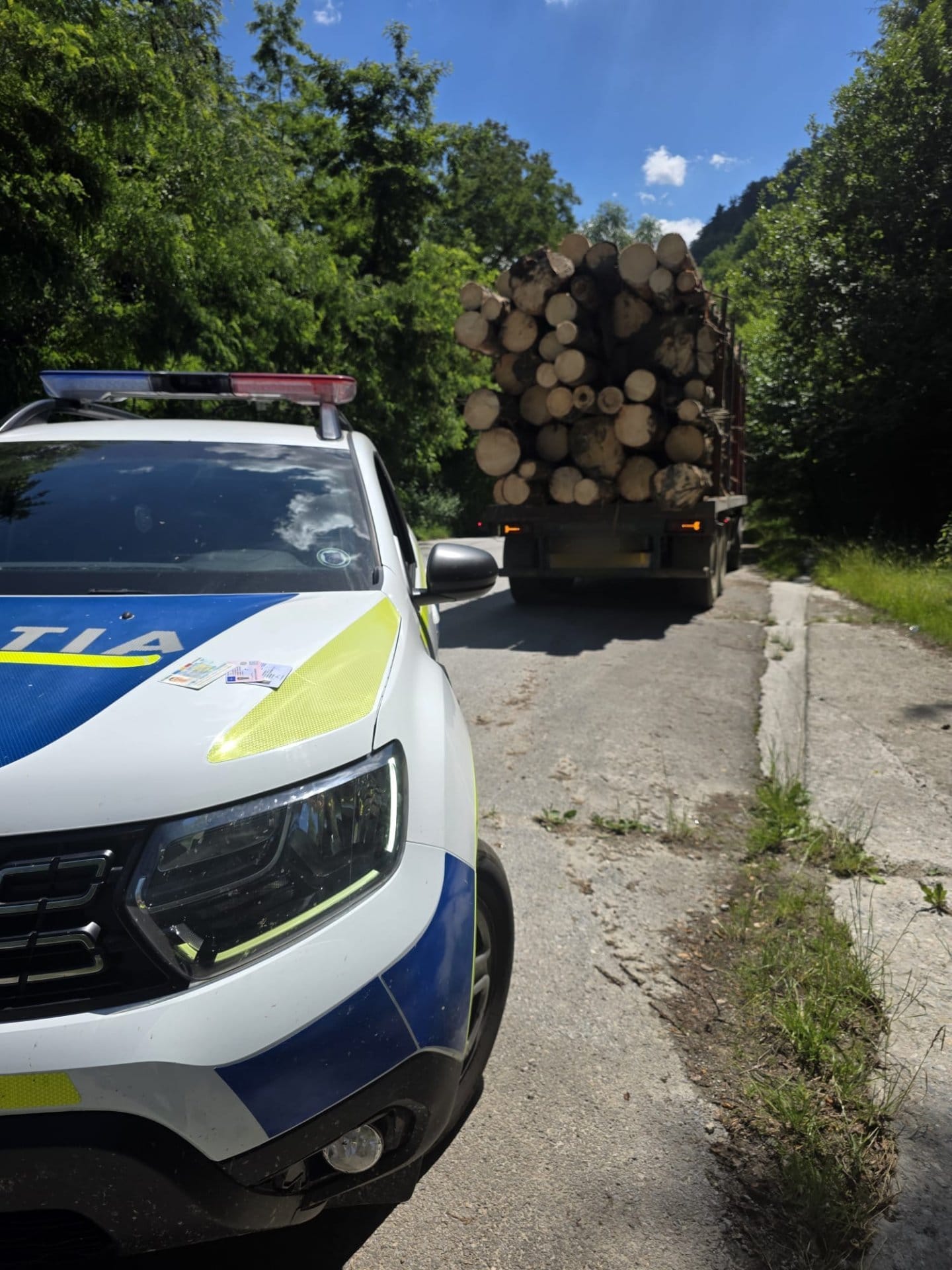 Captură impresionantă în Caraș-Severin: Aproape 400 de metri cubi de material lemnos, confiscați de polițiști în doar o săptămână