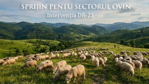 Sprijin pentru sectorul ovin și caprin: până la 50.000 de euro pentru investiții în prevenirea epizootiilor
