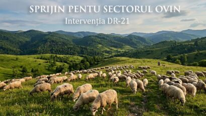 Sprijin pentru sectorul ovin și caprin: până la 50.000 de euro pentru investiții în prevenirea epizootiilor