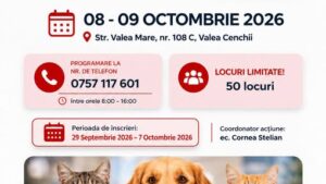 Sterilizare gratuită pentru câini și pisici, la Caransebeș. Campania are loc în 8 și 9 octombrie
