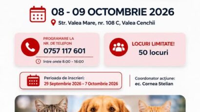 Sterilizare gratuită pentru câini și pisici, la Caransebeș. Campania are loc în 8 și 9 octombrie