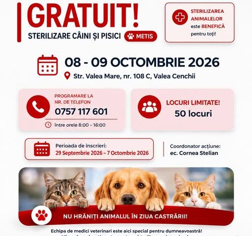 Sterilizare gratuită pentru câini și pisici, la Caransebeș. Campania are loc în 8 și 9 octombrie