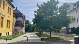 Primăria Timișoara a câștigat definitiv procesul pentru desființarea construcțiilor ilegale de pe strada Cezar
