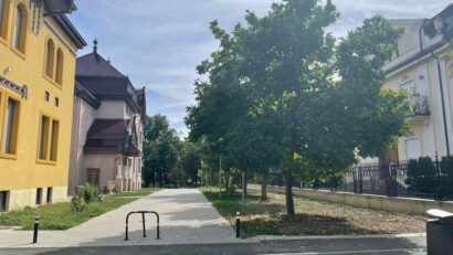 Primăria Timișoara a câștigat definitiv procesul pentru desființarea construcțiilor ilegale de pe strada Cezar
