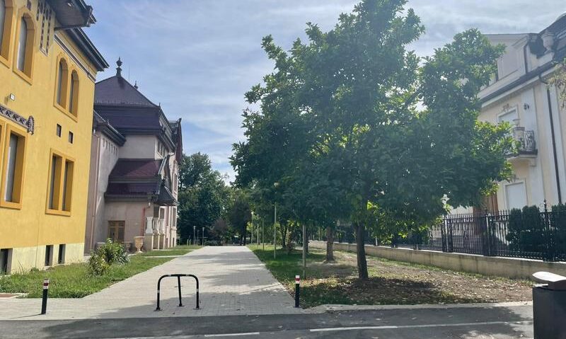 Primăria Timișoara a câștigat definitiv procesul pentru desființarea construcțiilor ilegale de pe strada Cezar