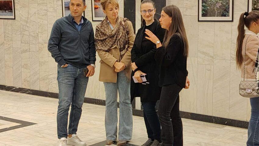 Expoziția „BIRDS” la Reșița: Bianca Bănică surprinde frumusețea păsărilor în habitatul lor natural