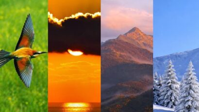 Expoziția de fotografie „Timp. Lumină. Natură”, semnată de Ana Tina, se deschide la Muzeul Bocșa