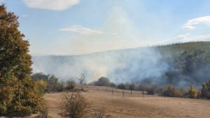 Incendii de vegetație în Timiș: focul a cuprins peste 135 de hectare la Știuca și Bunea Mare