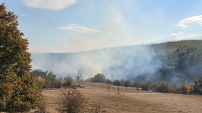 Incendii de vegetație în Timiș: focul a cuprins peste 135 de hectare la Știuca și Bunea Mare