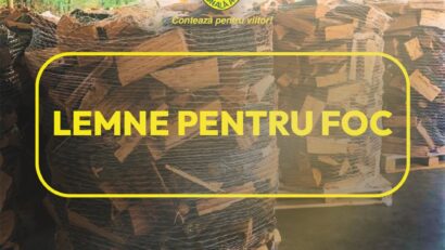 Lemn de foc 2026: Romsilva pune la dispoziția populației 2 milioane de metri cubi. Prețurile pornesc de la 200 de lei