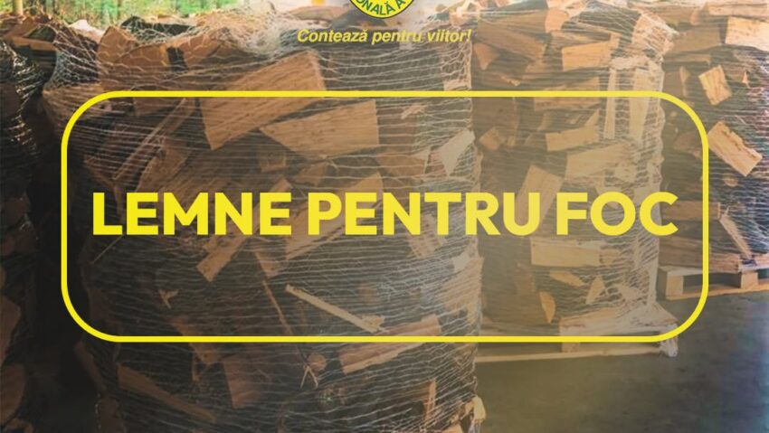 Lemn de foc 2026: Romsilva pune la dispoziția populației 2 milioane de metri cubi. Prețurile pornesc de la 200 de lei