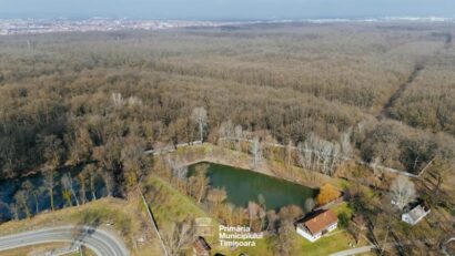 Pădurea Verde din Timișoara, proiect de amenajare de 16,7 milioane de lei. Trasee pentru biciclete, alei suspendate și zone de relaxare