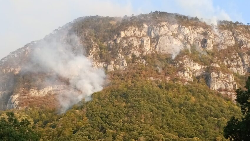 Parcul Național Domogled – Valea Cernei: peste 400 de hectare afectate de focare răzlețe