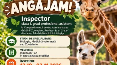 Grădina Zoologică din Reșița angajează inspector. Care sunt condițiile de participare la concurs
