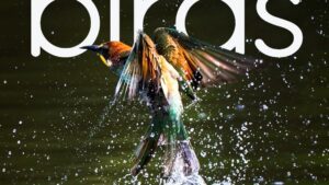 Expoziția de fotografie „BIRDS”, semnată de Bianca Bănică, la Reșița