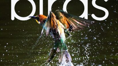 Expoziția de fotografie „BIRDS”, semnată de Bianca Bănică, la Reșița