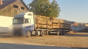 Amenzi și material lemnos confiscat în zona Lugoj