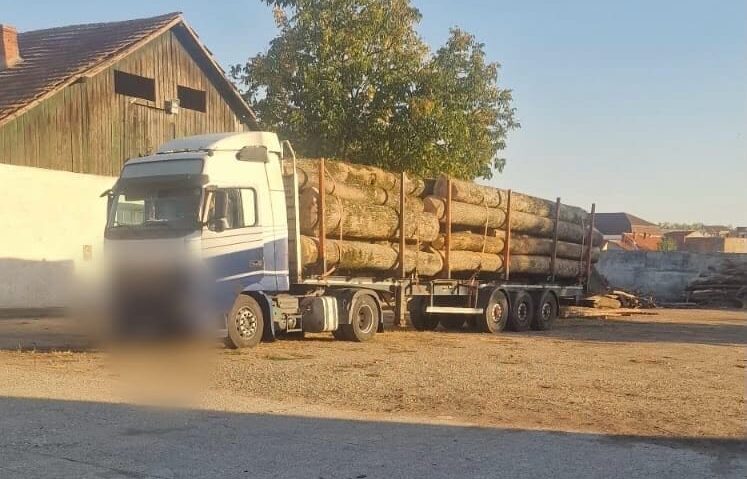 Amenzi și material lemnos confiscat în zona Lugoj