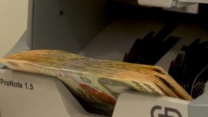 Aproape 60 de milioane de lei pentru o nouă zonă de agrement în Buziaș