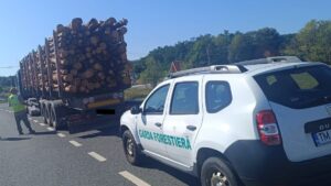 Garda Forestieră Timișoara: Amenzi de aproape 200.000 de lei și sute de metri cubi de lemn confiscați în septembrie