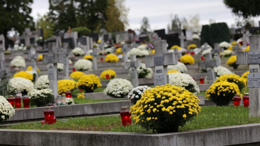 Comerț cu flori lângă cimitirele din Arad: cererile se depun între 12 și 16 octombrie 2026