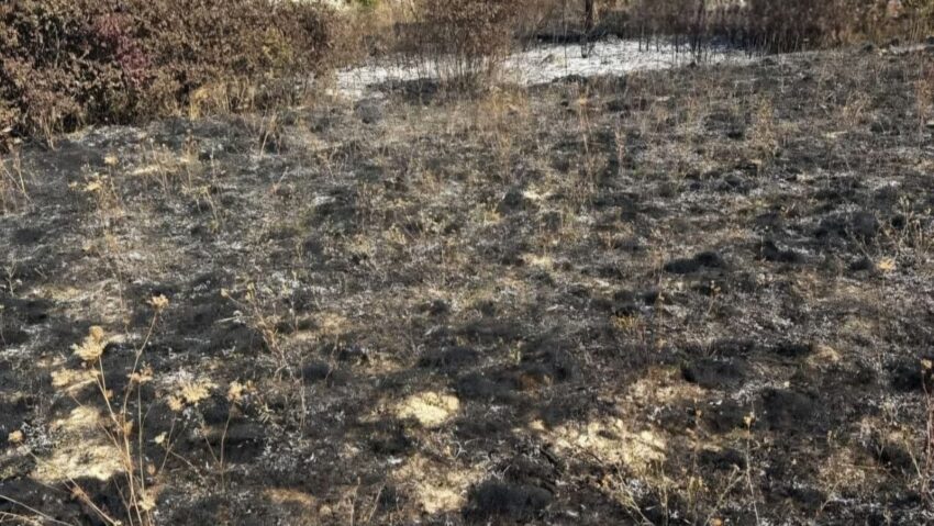 Șapte incendii de vegetație uscată în Timiș, în ultimele 24 de ore