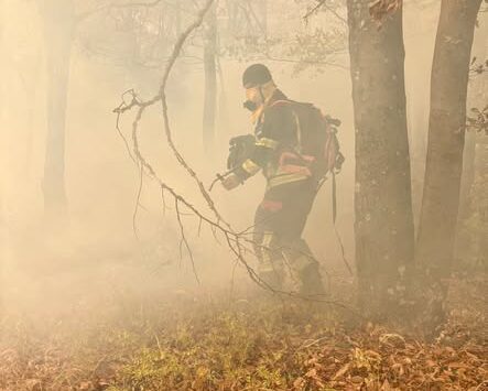 Incendiile din Parcul Național Domogled – Valea Cernei: trei sectoare mai au focare active. DN 67D rămâne închis