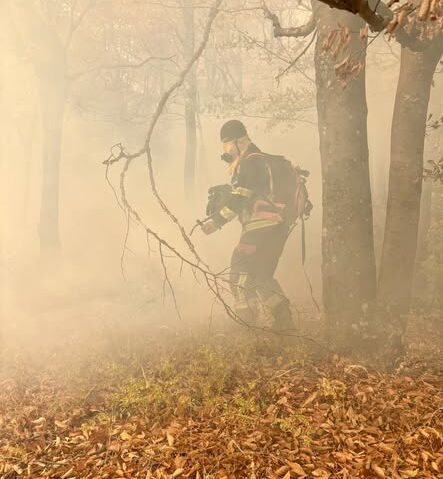Incendiile din Parcul Național Domogled – Valea Cernei: trei sectoare mai au focare active. DN 67D rămâne închis