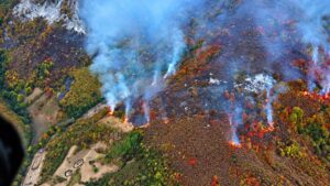 Incendiile din Parcul Național Domogled – Valea Cernei: 160 de persoane au intervenit pentru stingerea focarelor