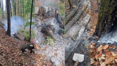 Incendiul din Domogled: noi focare identificate cu dronele. DN 67D rămâne închis circulației