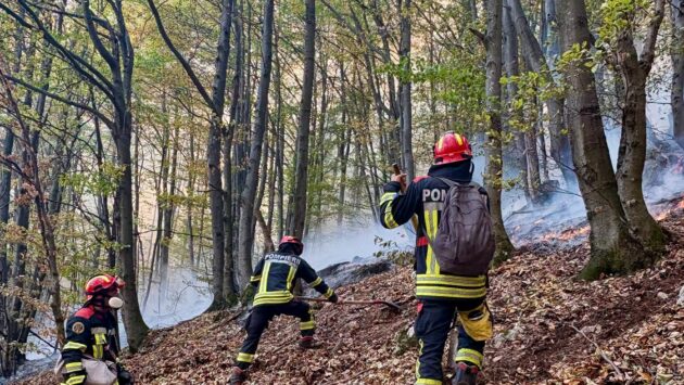 Incendiile din Parcul Național Domogled – Valea Cernei, încă active. Peste 140 de persoane intervin în teren