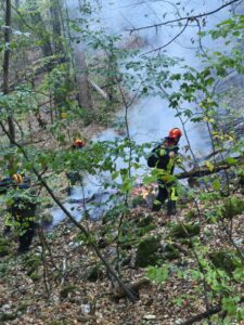 Incendiul din Parcul Național Domogled-Valea Cernei continuă Peste 120 de pompieri și silvicultori, mobilizați în teren