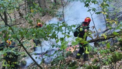 Incendiul din Parcul Național Domogled-Valea Cernei continuă. Peste 120 de pompieri și silvicultori, mobilizați în teren