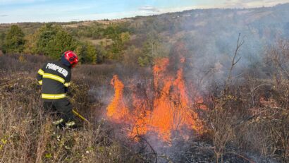 Cinci incendii de vegetație uscată în Timiș, în ultimele 24 de ore. Peste 50 de hectare de teren, afectate